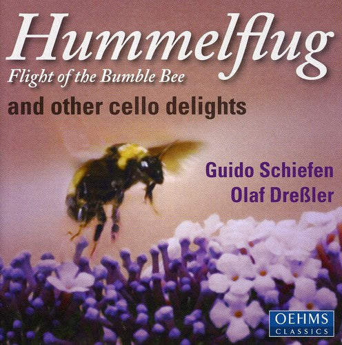 Rimsky-korsakov / Ravel / Rachmaninoff / Faure - Hummelflug Flights Of The Bumble-bee - Music CD