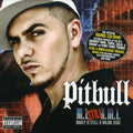 Pitbull - Money Is Still A Major Issue - Music CD