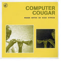 Computer Cougar - Rough Notes On High Stress - Vinyl Record