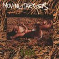 Moving Targets - Fall - Vinyl Record