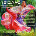 Kodaly / Haydn / Liszt / Busoni / Goldstone - Tzigane: Gypsy Inspired Music - Music CD