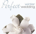 Perfect Wedding: Winter / Various - Perfect Wedding: Winter / Various - Music CD