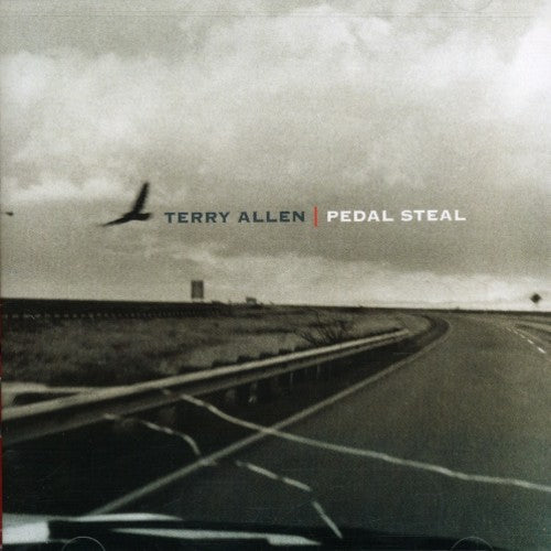 Allen,terry - Pedal Steel - Music CD