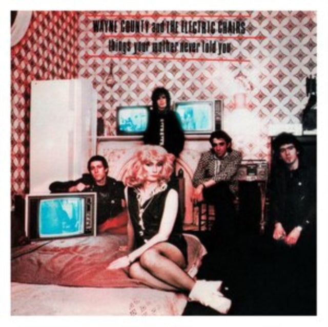 Wayne & The Electric Chairs County - Things Your Mother Never Told You & Storm The Gates Of Heaven - LP Vinyl Bundle
