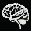 Brain Flakes (The Lost Combo Tapes)