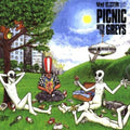 Mad Doctor X - Picnic With The Greys - Music CD