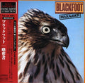 Blackfoot - Marauder - Music CD