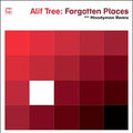 Alif Tree - Forgotten Places (moodymann Remix) - Vinyl Record
