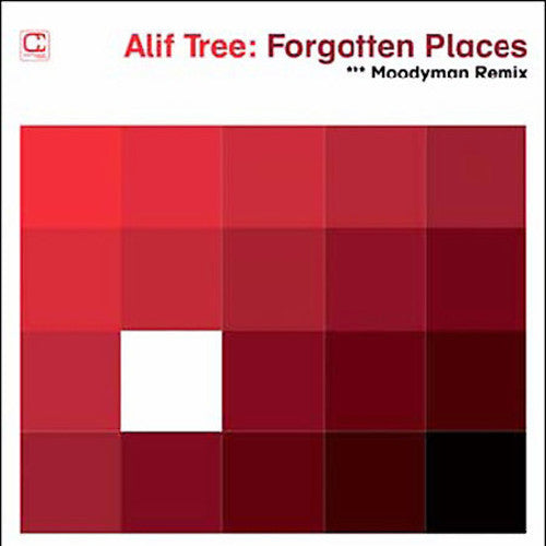 Alif Tree - Forgotten Places (moodymann Remix) - Vinyl Record