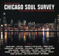 Chicago Soul Survey: 28 Classics From Golden / Var - Chicago Soul Survey: 28 Classics From Golden / Var - Music CD