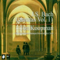 Bach / Rubens / Mertens / Markert / Abo / Koopman - Cantatas 11 - Music CD