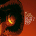 Soft Hearted Scientists - Take Time To Wonder In A Whirling World (LP/CD)