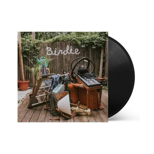 Slaughter Beach Dog - Birdie Vinyl Record