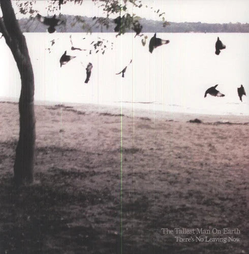 The Tallest Man on Earth - There's No Leaving Now