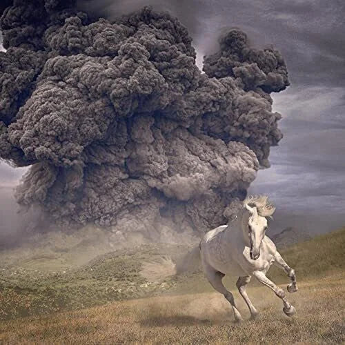 The White Buffalo - Year Of The Dark Horse