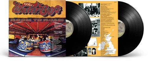 The Waterboys - Room To Roam (Half Speed Master) [2LP]