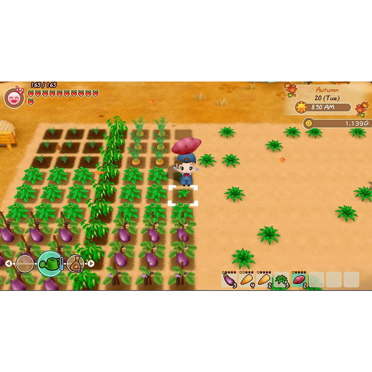 XSEED - Story of Seasons: Friends of Mineral Town w/ Plush - PS4