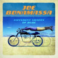 Different Shades Of Blue (2LP)
