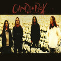 Candlebox (Import)