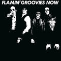 Flamin' Groovies - Now (White LP Vinyl/180G)