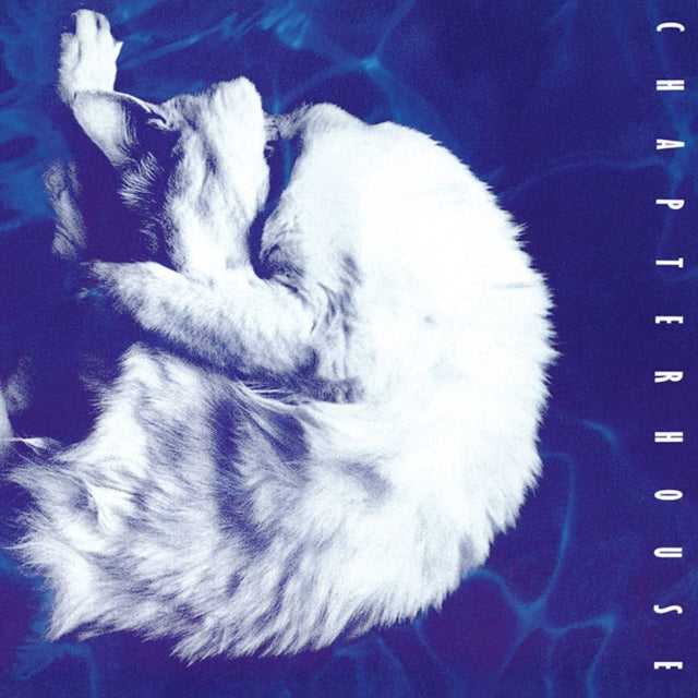 Chapterhouse - Whirlpool (White Marbled LP Vinyl/180G)