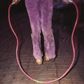 Buffalo Tom - Jump Rope (180G/Translucent Magenta LP Vinyl)
