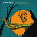 Guster - Ganging Up On The Sun - Music CD