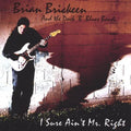 Brickeen,brian - I Sure Aint Mr. Right - Music CD