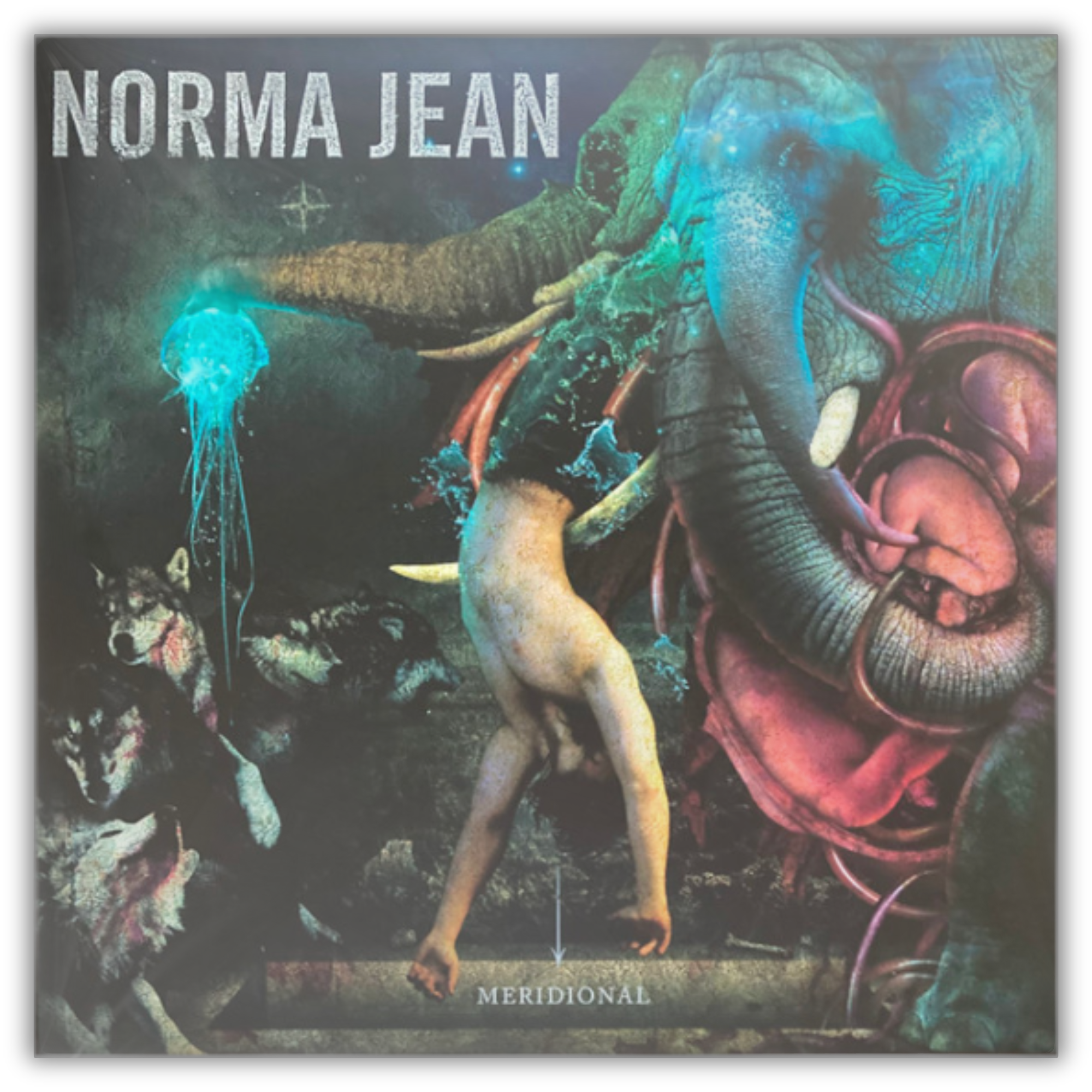 Meridional (Turquoise Blue Marble Vinyl/2LP) (Rsd)