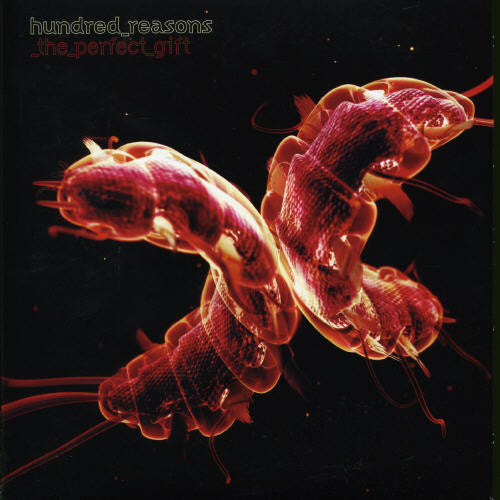 Hundred Reasons - Perfect Gift - Vinyl Record