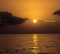 Endless Summer (2LP)