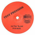 Musique/d Train - In The Bush (bootleg Mix)/youre The One For - Vinyl Record