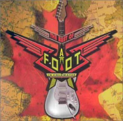 Foot In Cold Water - Best Of - Music CD