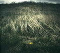 North Sea & Rameses Iii - Night Of The Ankou - Music CD