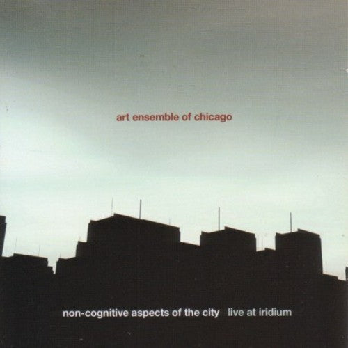 Art Ensemble Of Chicago - Non-cognitive Aspects Of The City: Live Iridium - Music CD