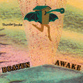 Beaten Awake - Thunderstroke - Vinyl Record