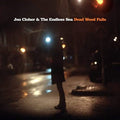Jen & The Endless Sea Cloher - Dead Wood Falls (Translucent Clear LP Vinyl)