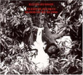 Hudson,keith - Flesh Of My Skin Blood Of My Blood - Vinyl Record