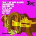 Jam Session 11 / Various - Jam Session 11 / Various - Music CD