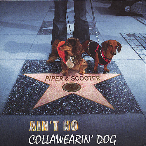 Piper & Scooter - Ain't No Collawearin' Dog - Music CD
