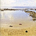 Furcurve - We Grew Legs To Flee The Water - Music CD