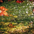 Dificil Equilibrio - Flood - Music CD