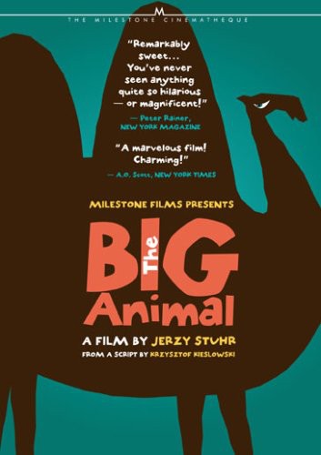 Big Animal - Big Animal - DVD