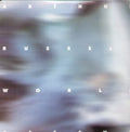 Russell,arthur - World Of Echo - Vinyl Record