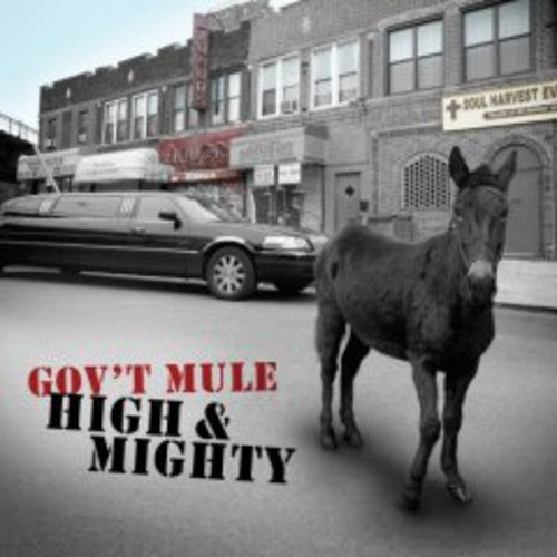 Gov't Mule - High & Mighty - Music CD