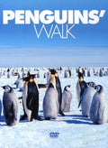Penguins Walk - Penguins Walk - DVD