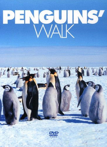 Penguins Walk - Penguins Walk - DVD