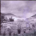 Pigs Apes & Spacemen - Snapshot - Music CD