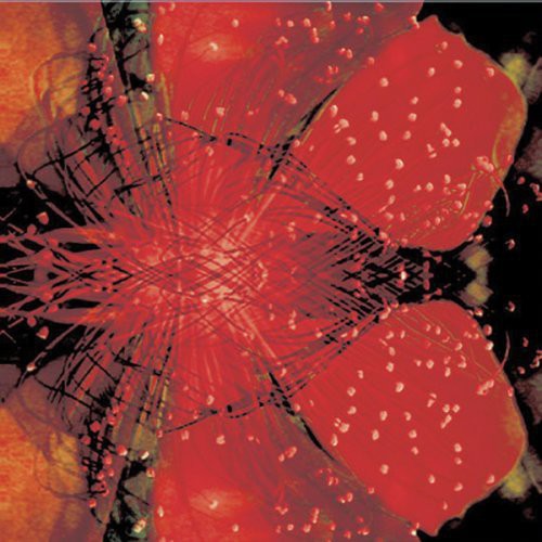 Null,k.k. - Kosmista Noisea - Music CD