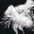 Aufgehoben - Messidor - Music CD